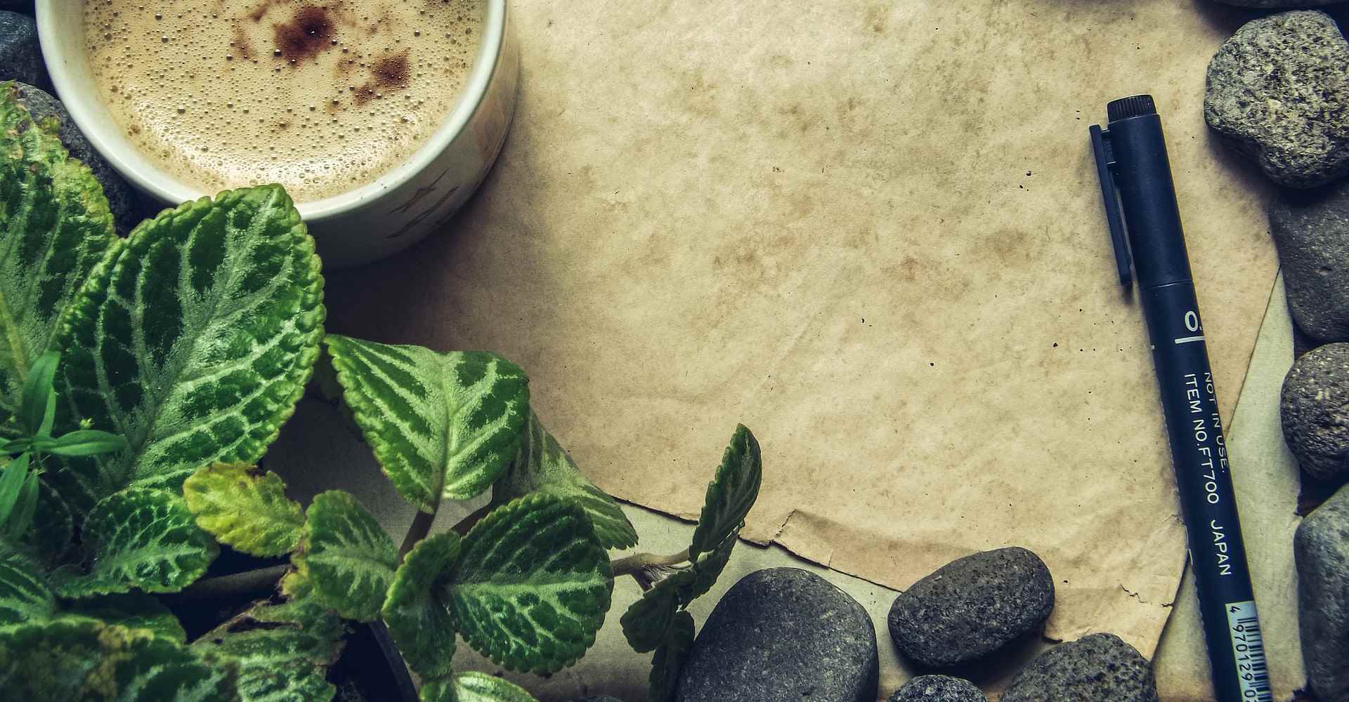 Séances individuelles