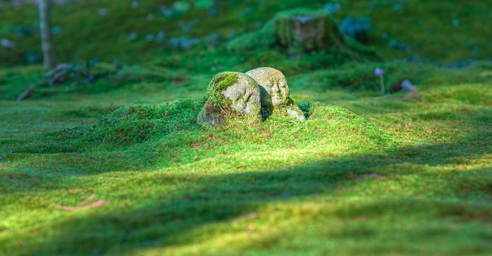 La Quête Spirituelle